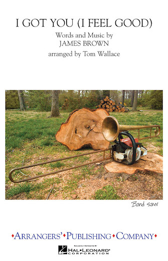 I Got You (I Feel Good)