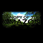 Canopy of the Amazon
